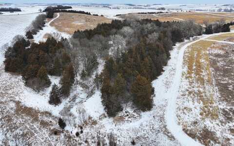 Stanton County Deer and Pheasant Haven, Stanton, NE 68779