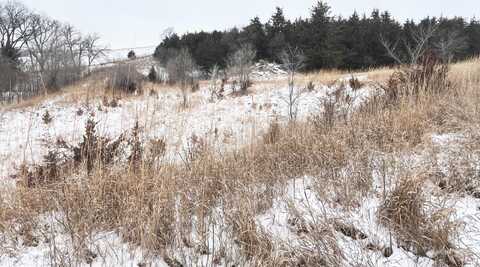 Stanton County Deer and Pheasant Haven Option C, Stanton, NE 68779