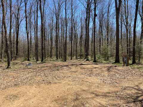 0 Summit Woods Lane, Gleason, WI 54435