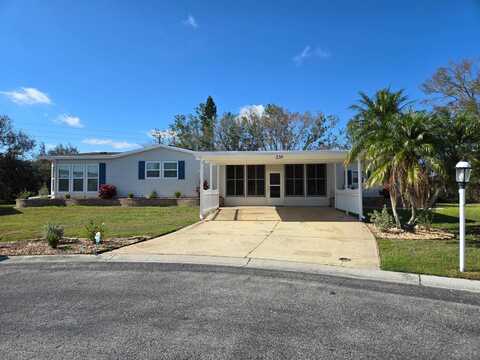 239 Tiger Lilly Dr, Parrish, FL 34219
