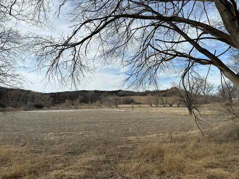 +/- 240 Acres, Cedar County, Wynot, NE 68792