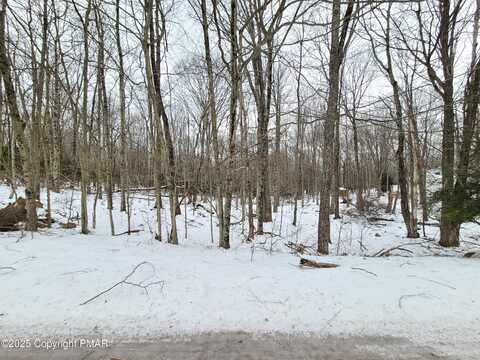 Lot 91 Lookout Point Road, Canadensis, PA 18325