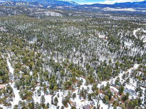 Blossom Road, Woodland Park, CO 80863