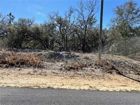 Lots 14,15 SW Kearney Lane, Dunnellon, FL 34431