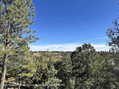 T15B Partridge Ct., Alto, NM 88312