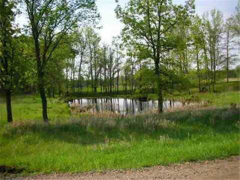 29366 Meadow Circle, Laporte, MN 56461