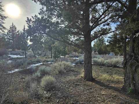 Lot 32 Lakeside Ct, Weed, CA 96094