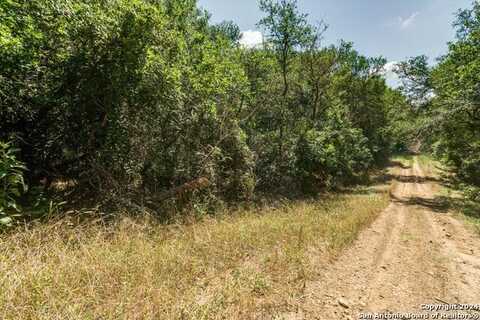 Lot 650 Kaukonahua Ln, Bastrop, TX 78602