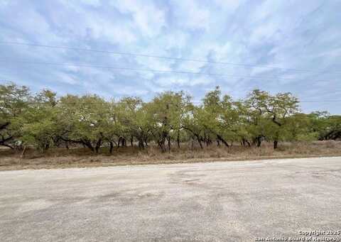 233 Palomino Trl, Natalia, TX 78059