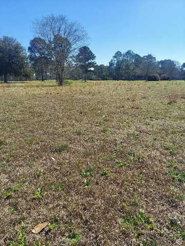 Lot 1 Crine Blvd Lot 1, Cairo, GA 39828