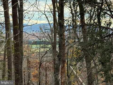 0 MOUNTAIN RUN ROAD, LURAY, VA 22835