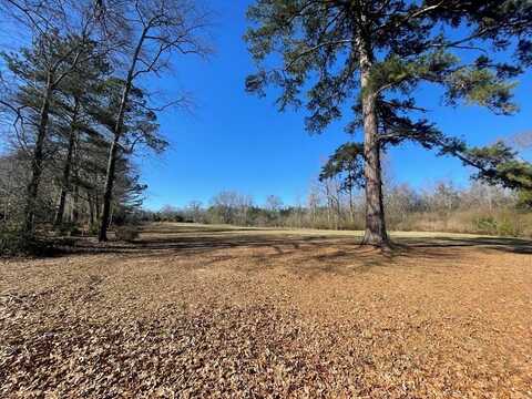TBD Wolf Creek Dr, Americus, GA 31719