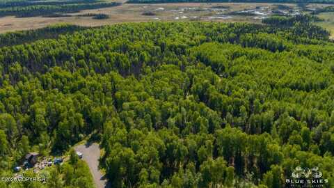 16016 E Greenleaf Drive, Talkeetna, AK 99676