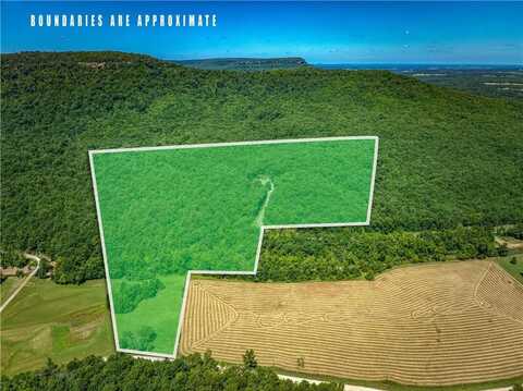 6122 Scenic Valley DR, Harrison, AR 72601