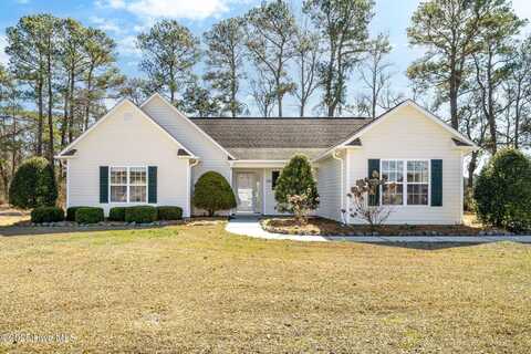 130 Phillip Mills Drive, Teachey, NC 28464