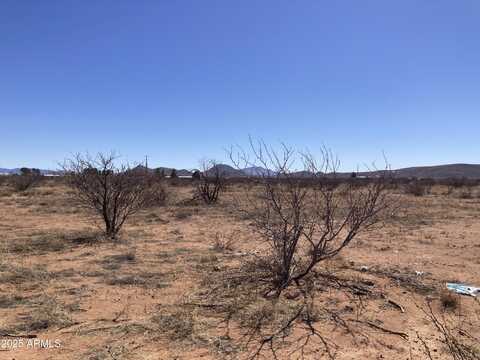 6160 E San Carlos Drive, Sunizona, AZ 85625