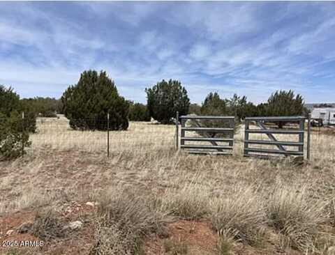 30386 W BASCONIA Road, Seligman, AZ 86337