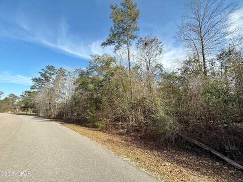 Oak Drive, Marianna, FL 32446