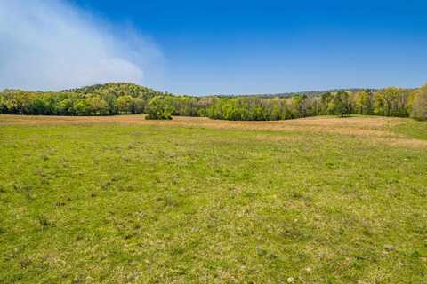 XXX Albert Pike Road, Royal, AR 71968