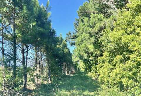315 Amos Gillikin Road, Beaufort, NC 28516
