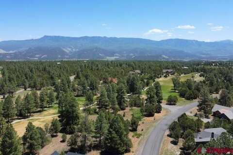 1640 Marmot Dr, Ridgway, CO 81432
