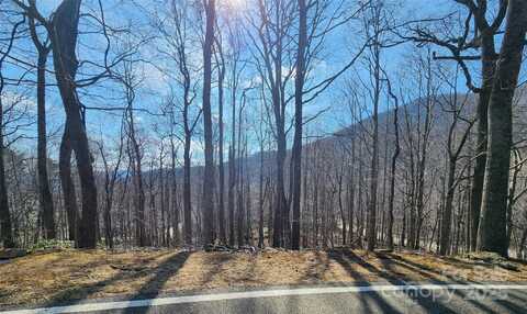 47 Wedgewood Terrace unit: 1201, Black Mountain, NC 28711