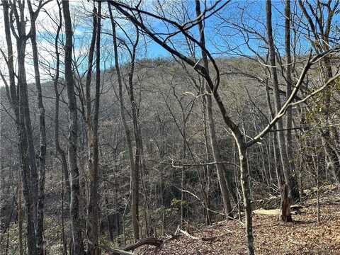 Lt1141 Oglethorpe Mountain Road, Jasper, GA 30143