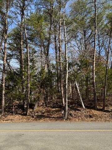 Tree Line Lane lot: 1191, Baneberry, TN 37890