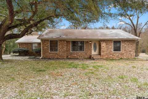 12 Pecan Grove, Pittsburg, TX 75686