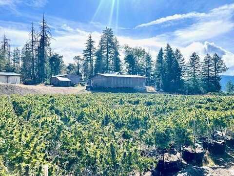 20 +/- Acres Burr Valley Road, Dinsmore, CA 95526