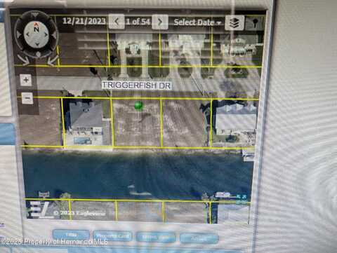 TRIGGERFISH Drive, Hernando Beach, FL 34607