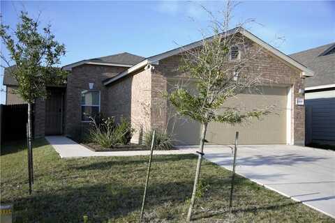 13809 Benjamin Harrison ST, Manor, TX 78653