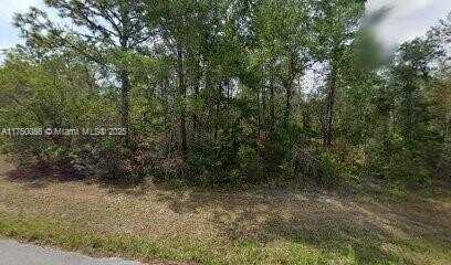 6182 N Buckland Dr, Citrus Springs, FL 34434