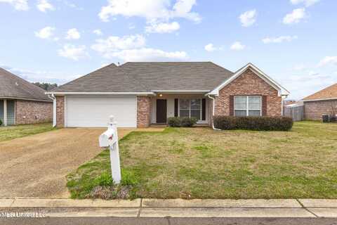 118 Cherry Laurel Circle, Pearl, MS 39208