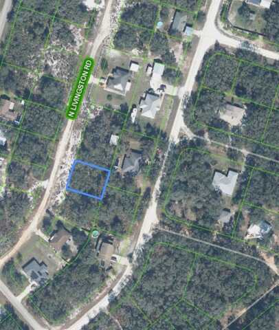 2840 LIVINGSTON ROAD, AVON PARK, FL 33825