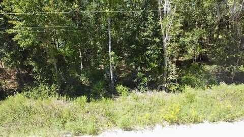 NE 110TH COURT, WILLISTON, FL 32696