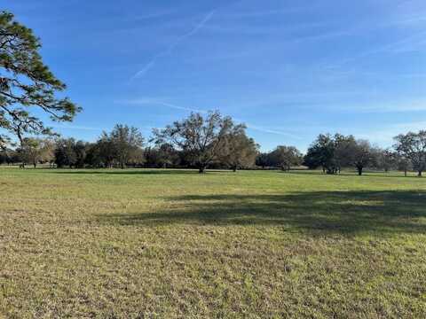 2731 SE 115TH AVENUE, MORRISTON, FL 32668