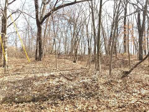 Lot 1750 Sunflower Court, Varna, IL 61375