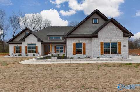206 Blairwood Court, Meridianville, AL 35759