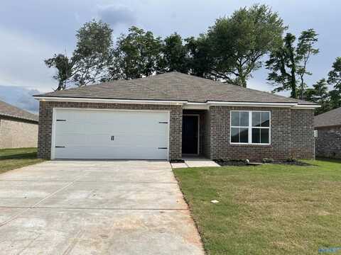 173 Point Cadet Avenue, Toney, AL 35773