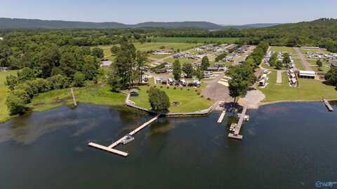 10174 County Road 67, Langston, AL 35755