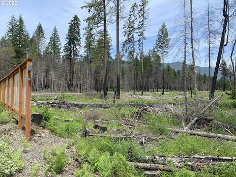 Mckenzie, BLUE RIVER, OR 97413