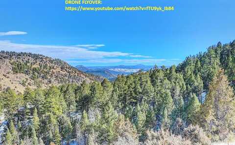 Reserve, PINE, CO 80470