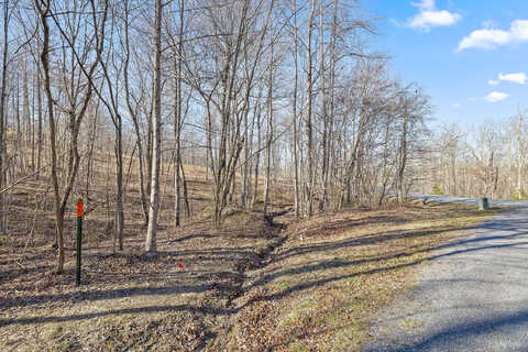 Lot 252 Roaring Creek Rd, Dunlap, TN 37327