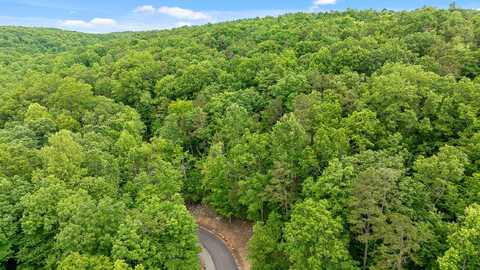 Lot 205 Deep Woods Dr, Dunlap, TN 37327