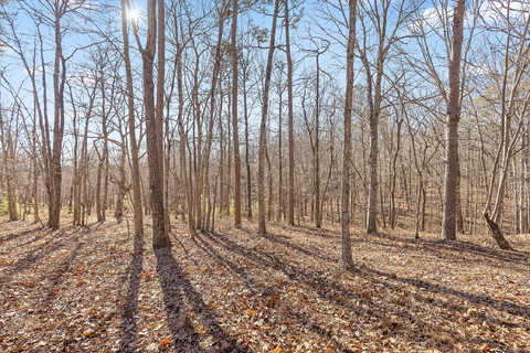 Lot 103A Bluff View Dr, Dunlap, TN 37327