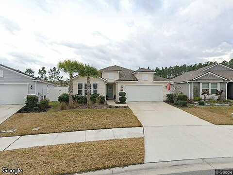 Island Fox, JACKSONVILLE, FL 32222