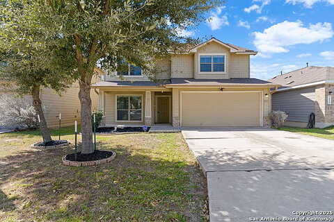 Magnolia, SAN ANTONIO, TX 78218