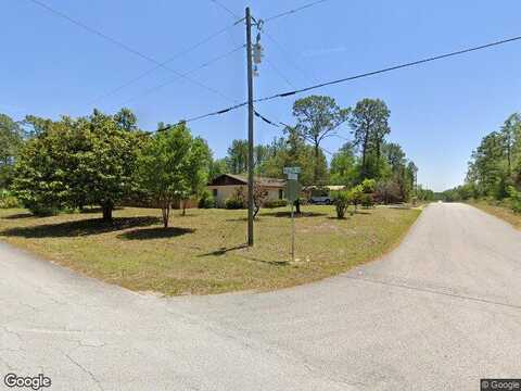 Fig Tree, DUNNELLON, FL 34431