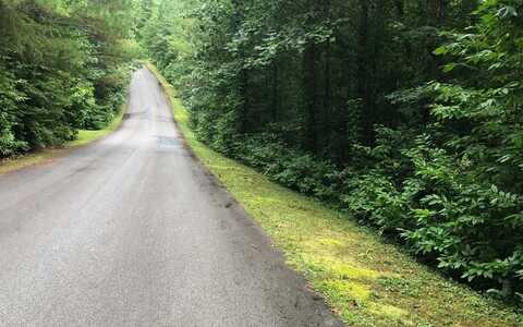 Lot 33 East Ridge Lane, Ellijay, GA 30536